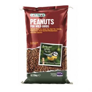 Seeds & Peanuts